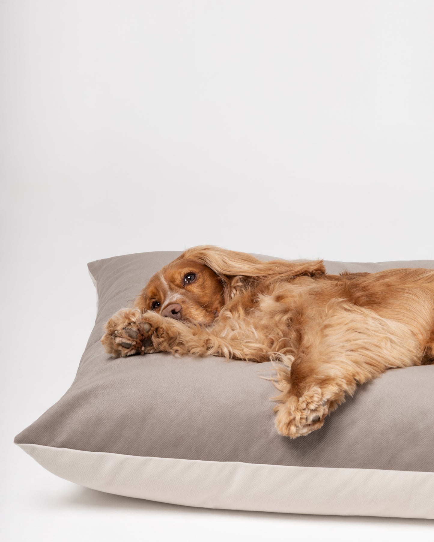 Brooklyn Bed