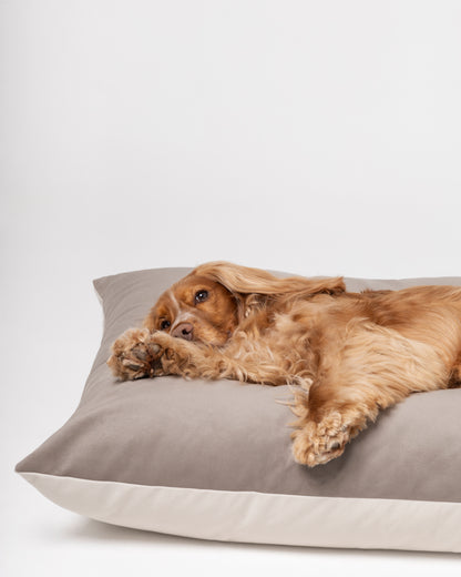 Brooklyn Bed